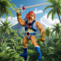 Preview: MOTU x Thundercats Actionfigur Lion-O 2025 Mattel